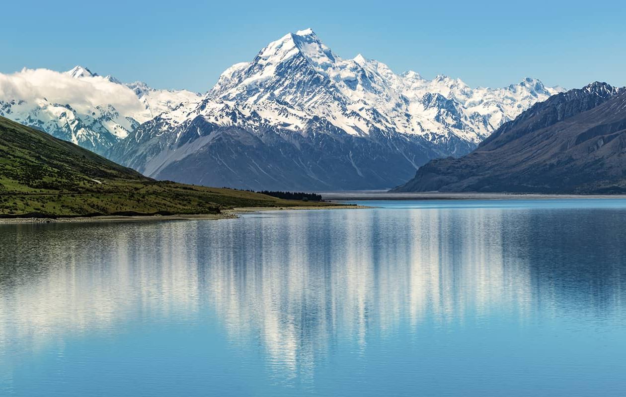 1491