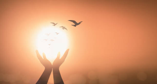 IMG_7602 IMG 7602