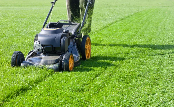depositphotos 109321374 stock photo lawn mower grass