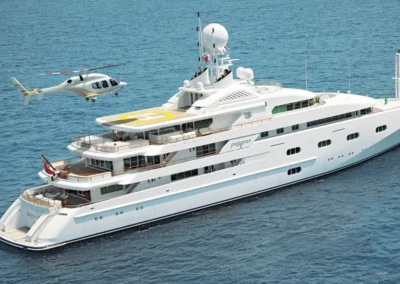 pegasus viii1