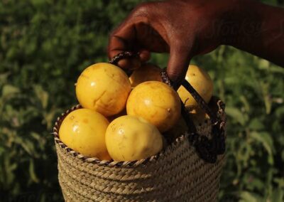 d3b9b5f316ebb7c05655e75fea35ce41 d3b9b5f316ebb7c05655e75fea35ce41