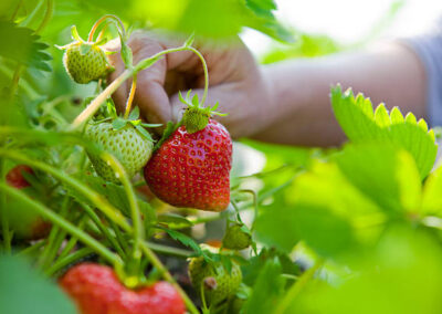 istockphoto-173923673-612x612 istockphoto 173923673 612x612 1