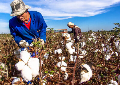 istockphoto-483288746-612x612 istockphoto 483288746 612x612 1