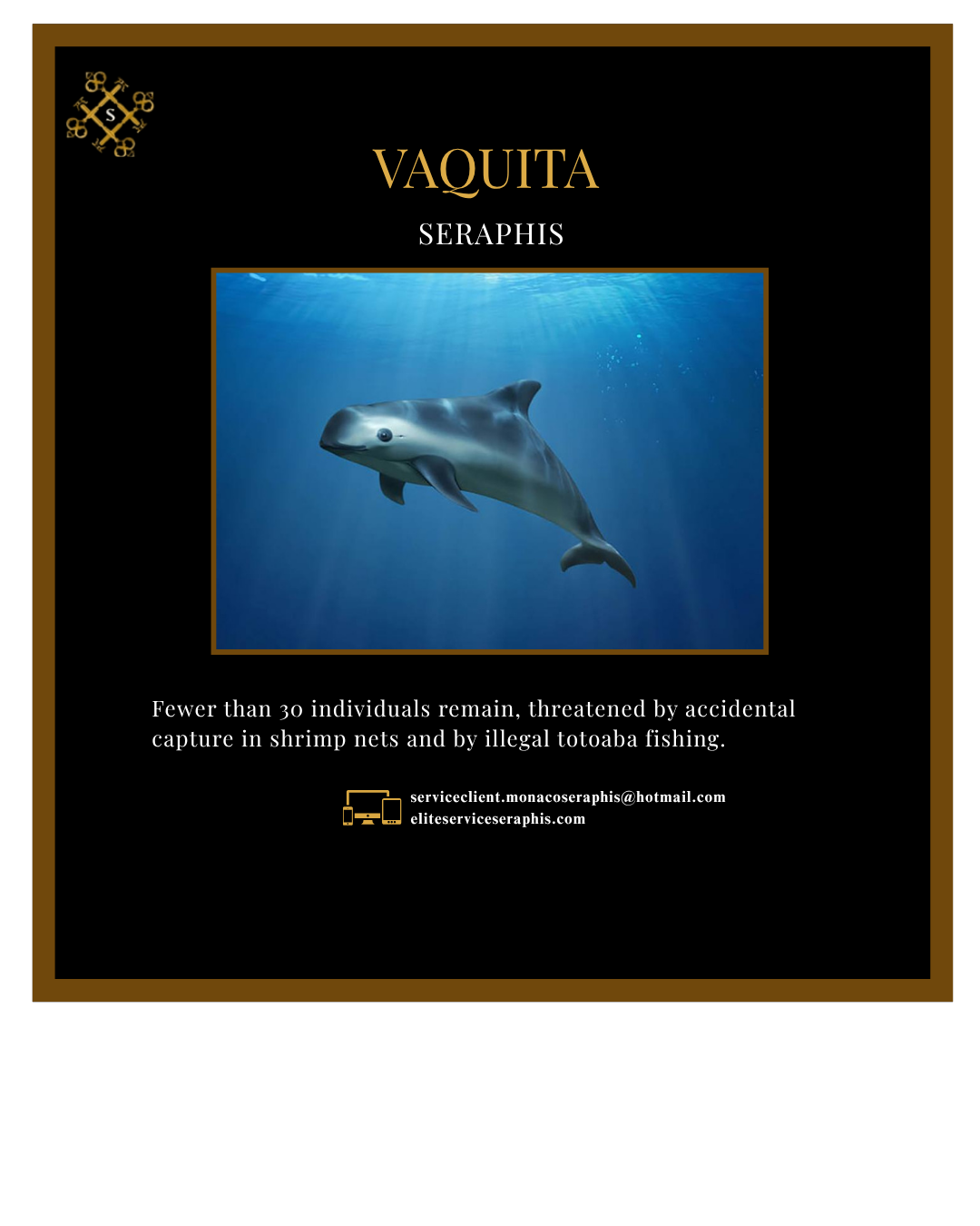 Votre texte de paragraphe - 2025-07-26T194518.529 Votre texte de paragraphe 2025 07 26T194518.529