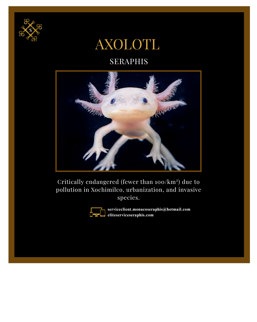 Votre texte de paragraphe - 2025-07-26T194658.811 Votre texte de paragraphe 2025 07 26T194658.811