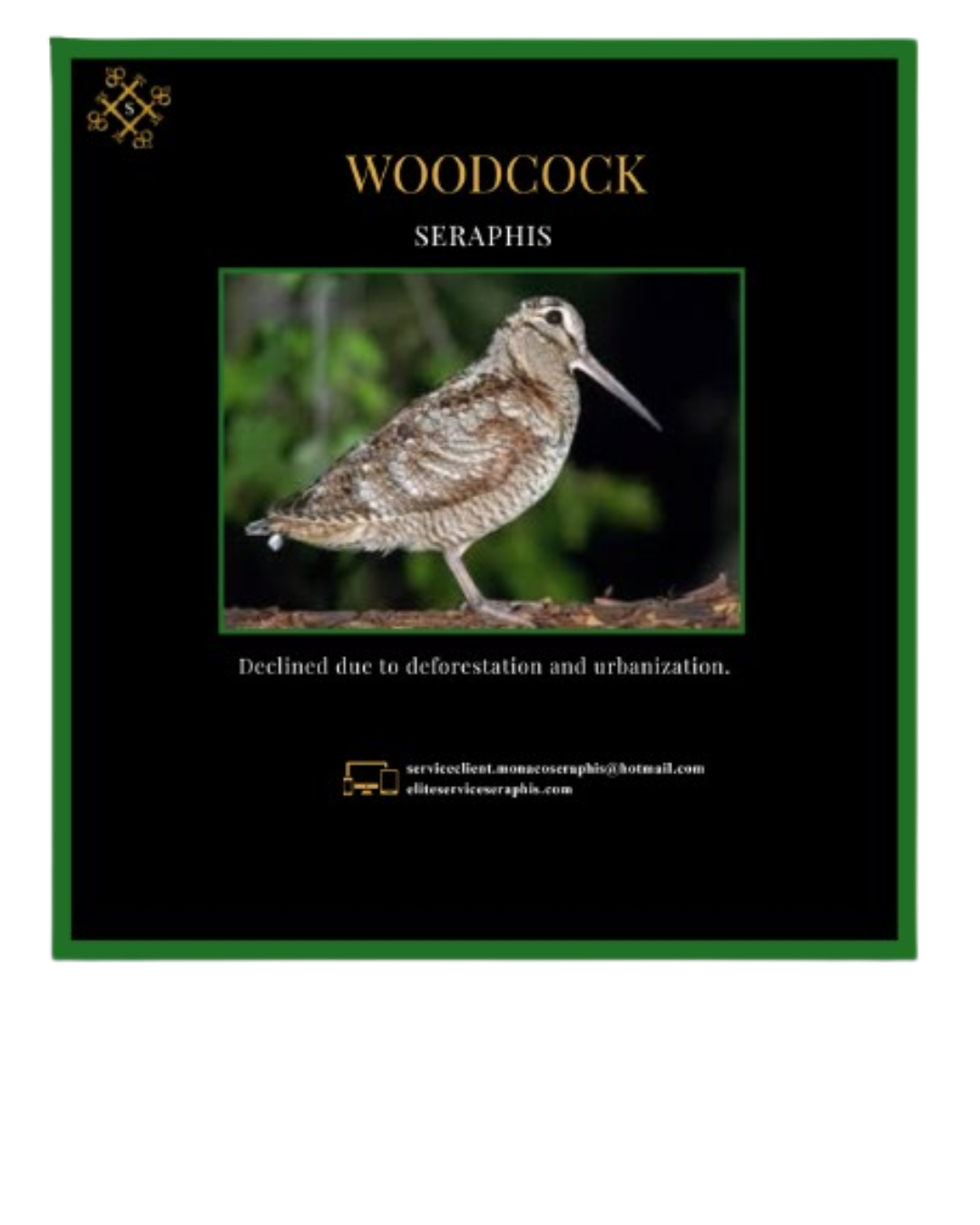 Votre texte de paragraphe - 2025-07-26T205720.873 Votre texte de paragraphe 2025 07 26T205720.873