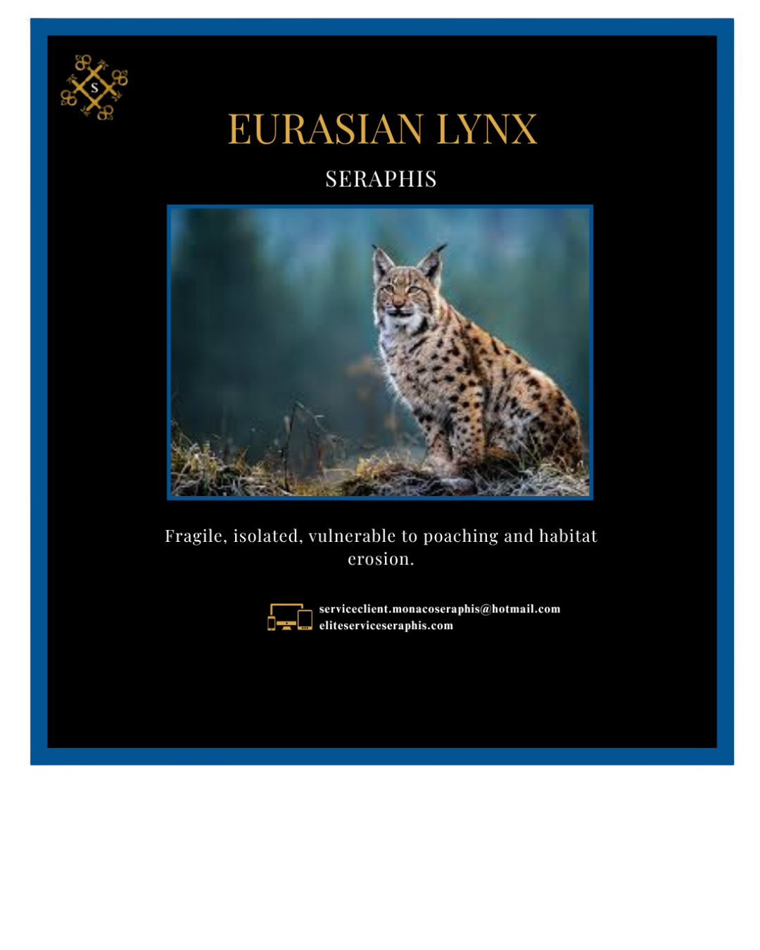 Votre texte de paragraphe - 2025-07-26T210508.314 Votre texte de paragraphe 2025 07 26T210508.314