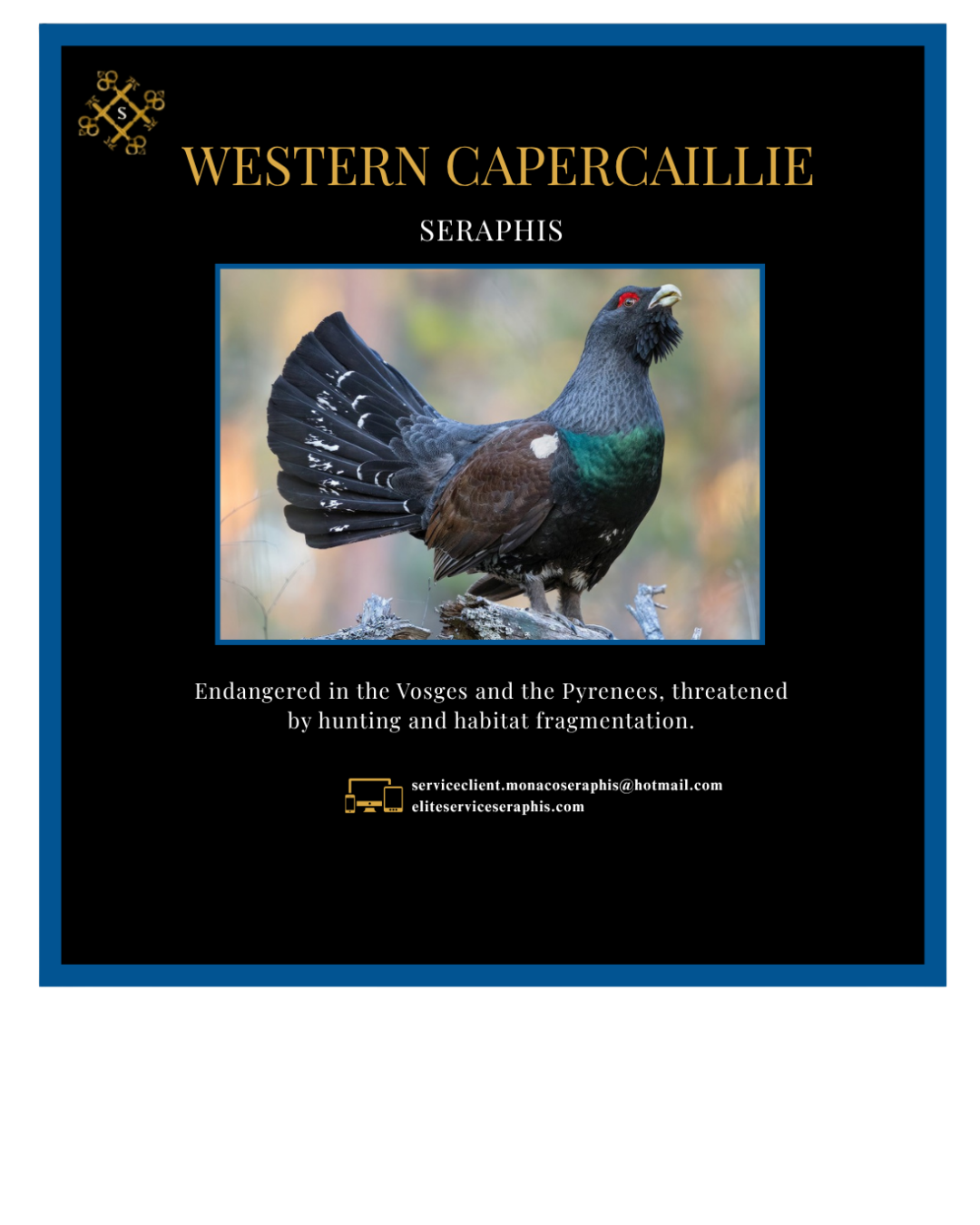 Votre texte de paragraphe - 2025-07-26T210904.881 Votre texte de paragraphe 2025 07 26T210904.881