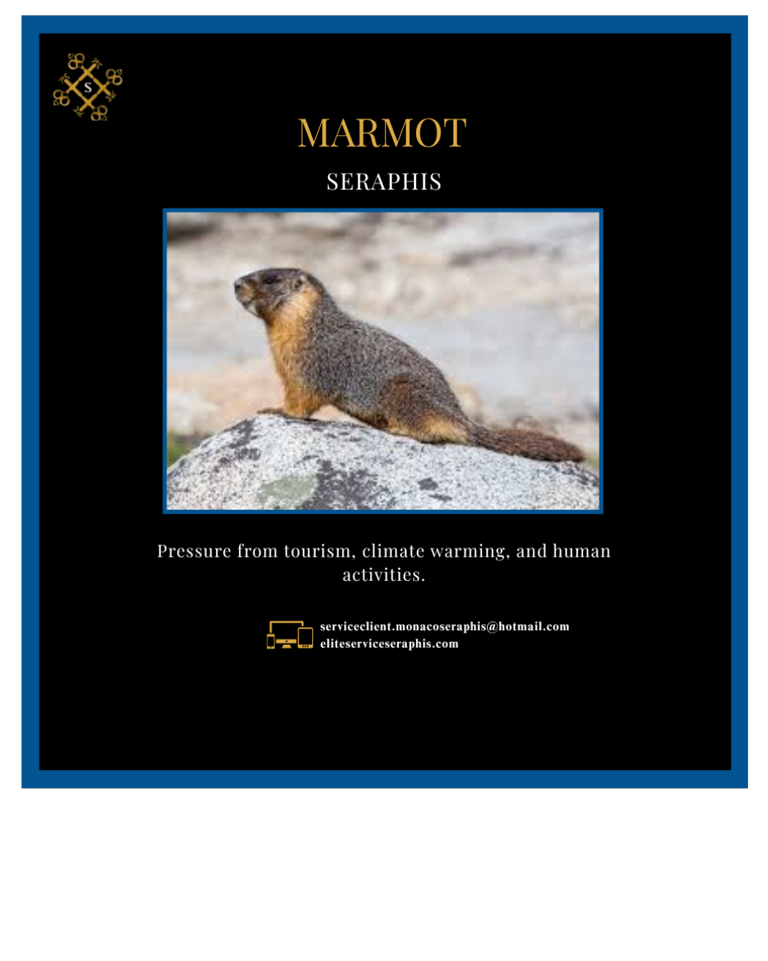 Votre texte de paragraphe - 2025-07-26T212233.503 Votre texte de paragraphe 2025 07 26T212233.503