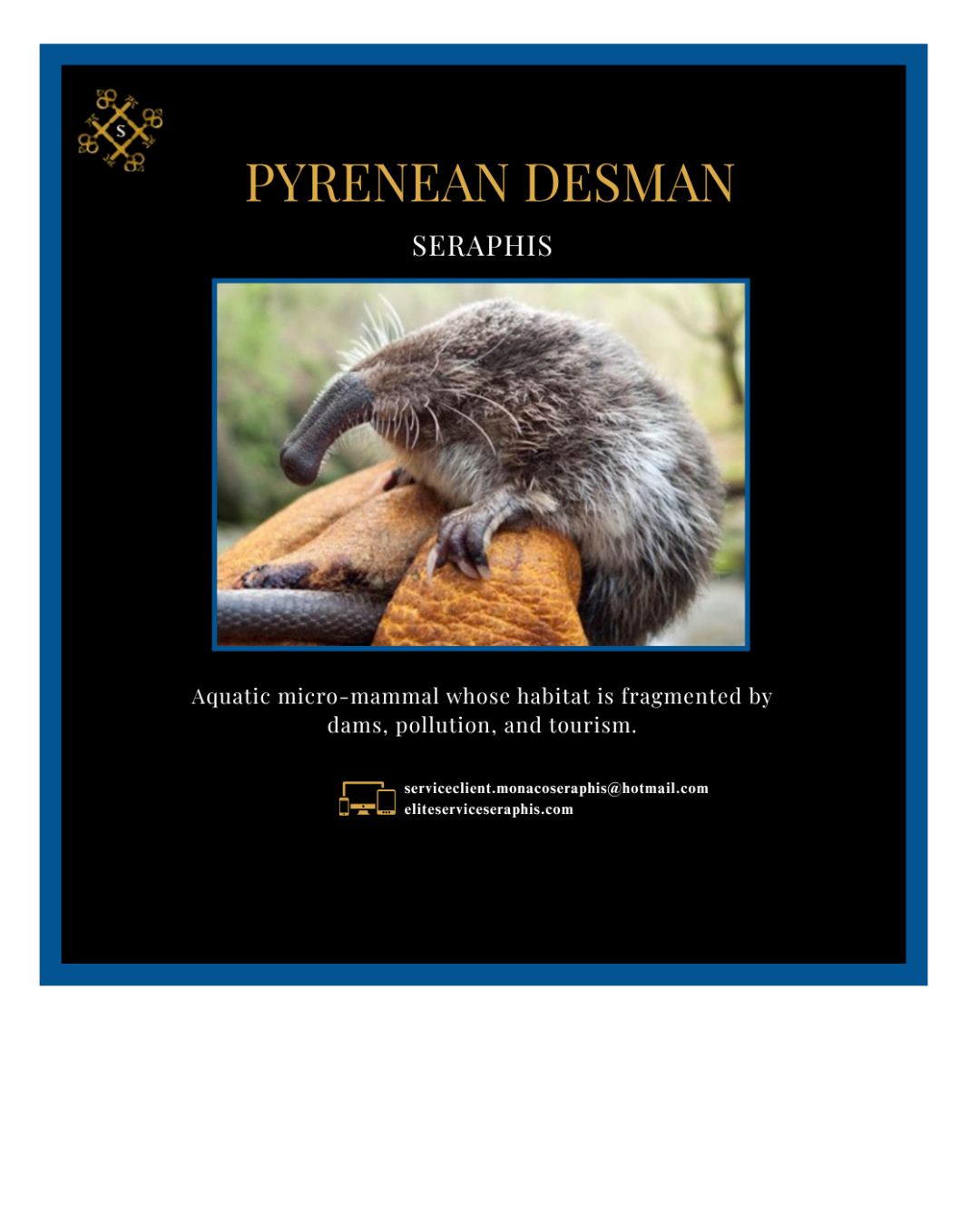 Votre texte de paragraphe - 2025-07-26T212634.345 Votre texte de paragraphe 2025 07 26T212634.345