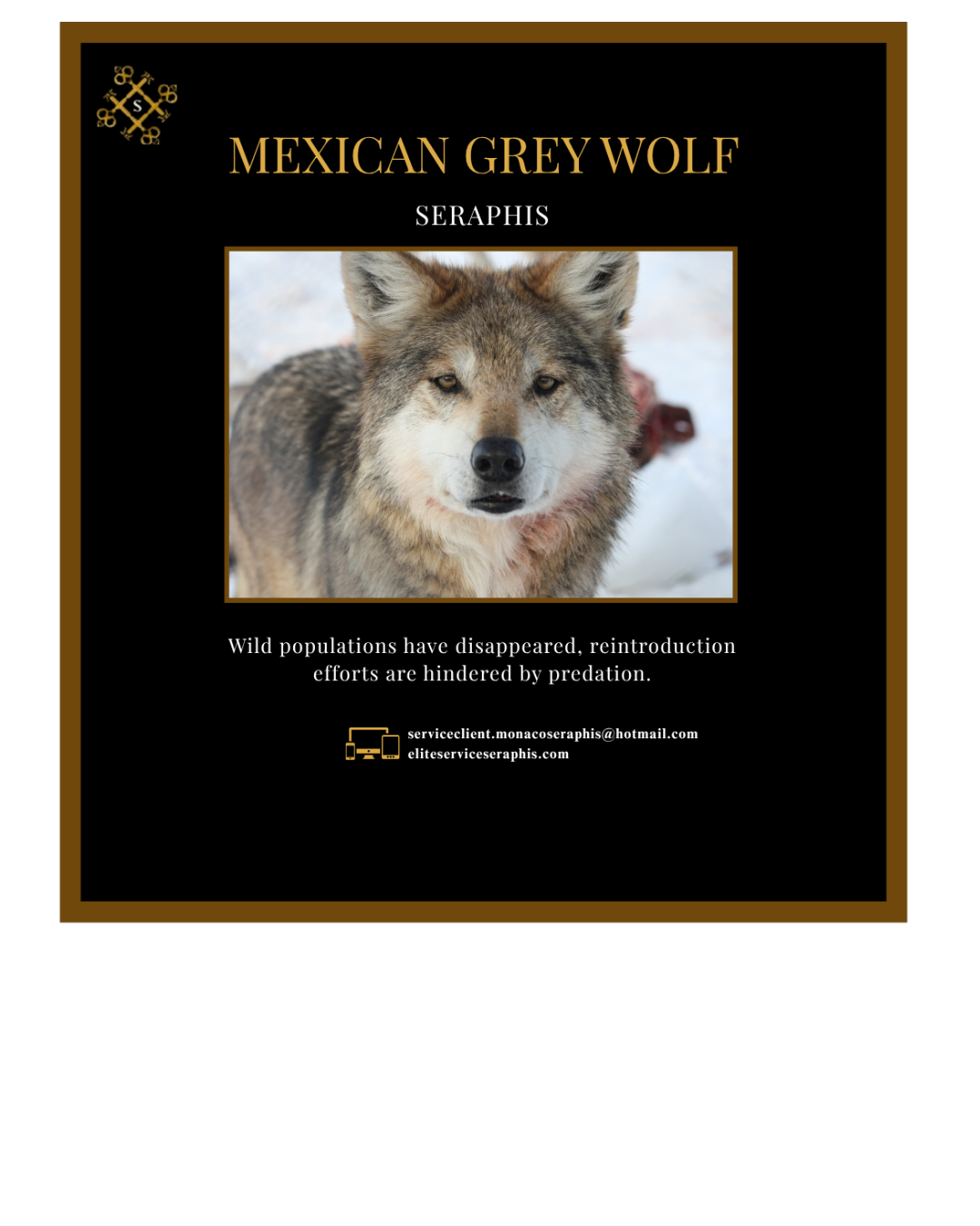 Votre texte de paragraphe - 2025-07-26T213136.388 Votre texte de paragraphe 2025 07 26T213136.388