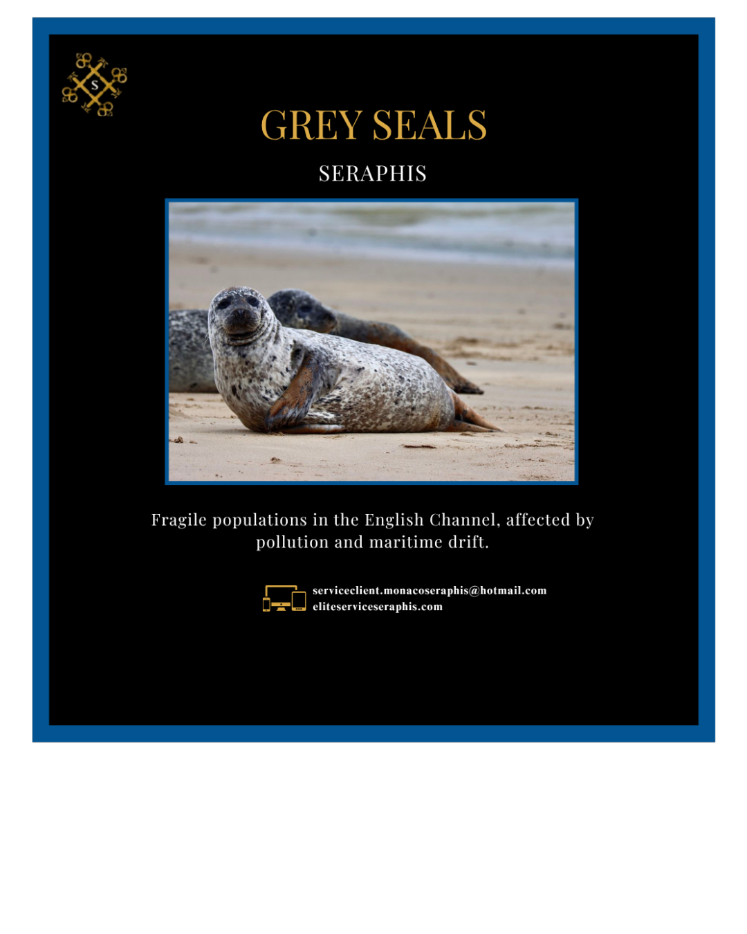 Votre texte de paragraphe - 2025-07-26T213705.519 Votre texte de paragraphe 2025 07 26T213705.519