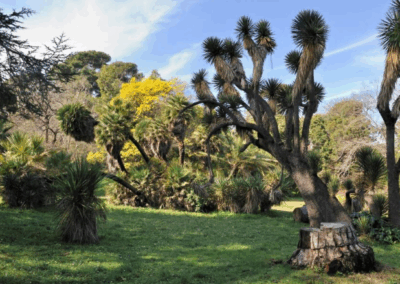 Capture d’écran 2025-10-28 204445 Capture decran 2025 10 28 204445