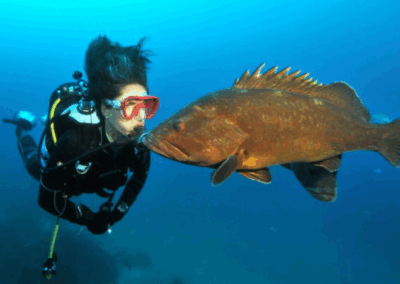 Capture decran 2025 10 28 214226